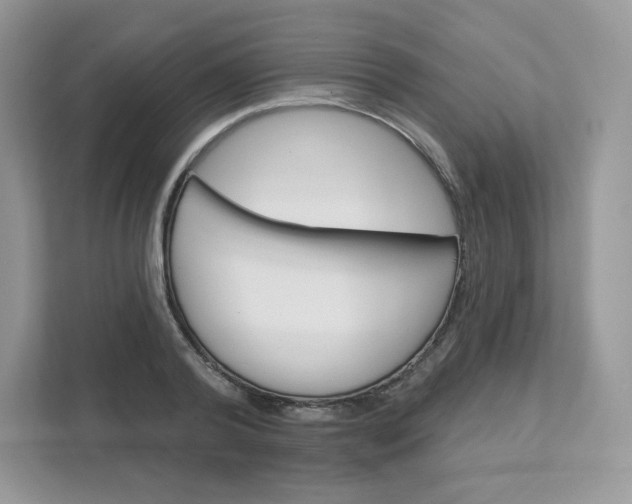 X0000111590792200907301425