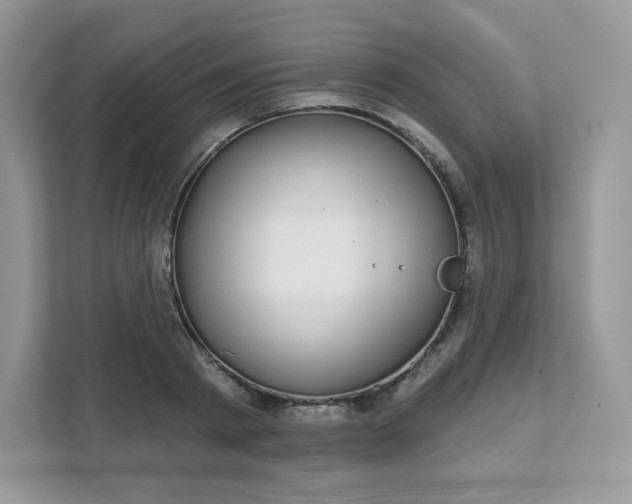 X0000111590793200907301425