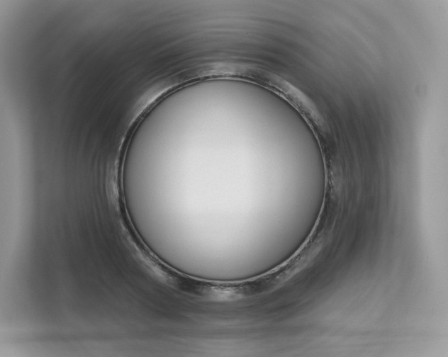 X0000111590794200907301425