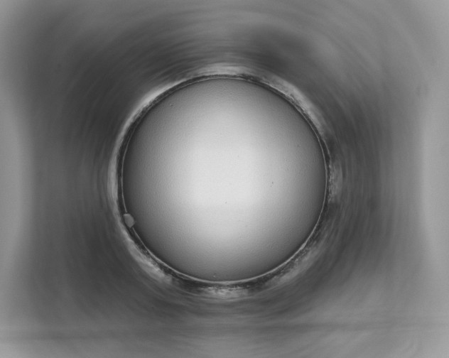 X0000111590795200907301425