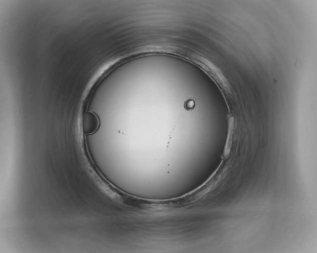 X0000111590796200907301425