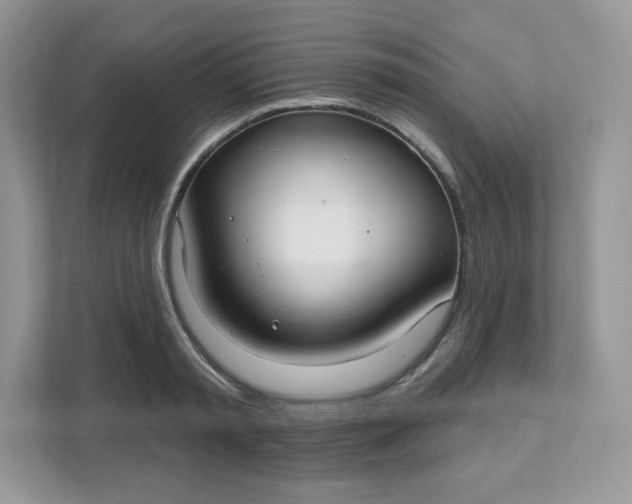 X0000111590797200907301425