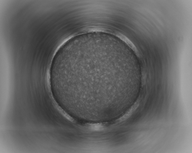 X0000111590798200907301425