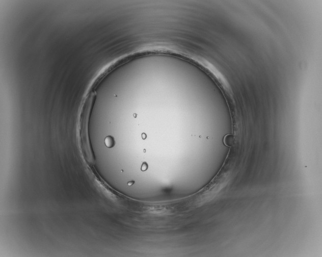 X0000111590799200907301425