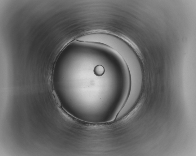 X0000111590801200907301425