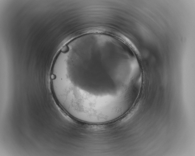 X0000111590802200907301425