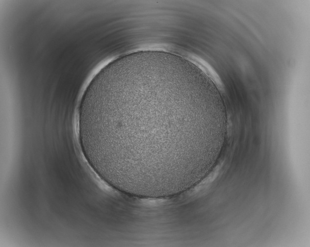 X0000111590804200907301425