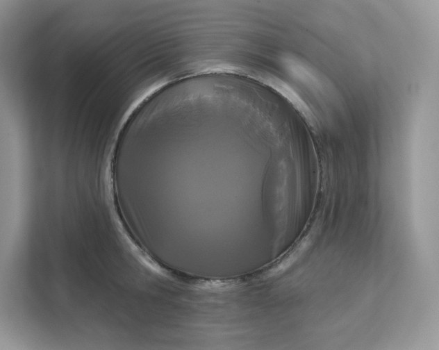 X0000111590806200907301425