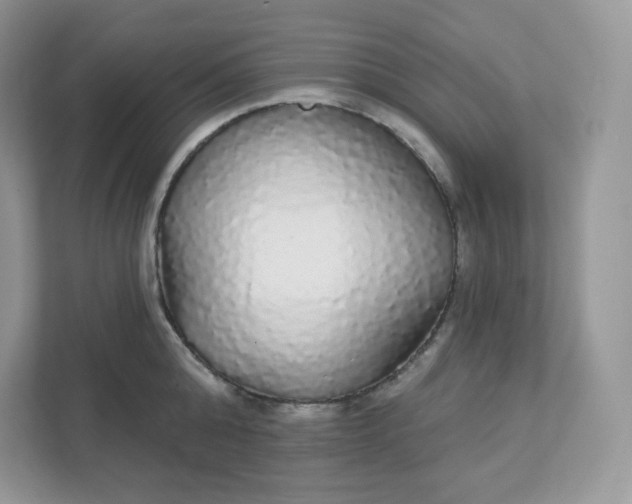 X0000111590808200907301425