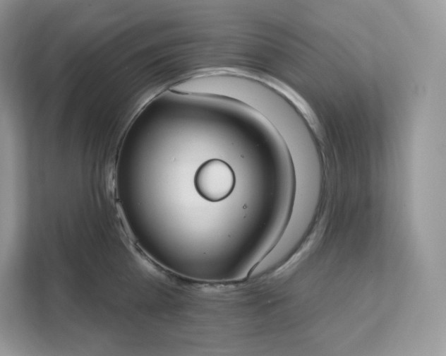 X0000111590809200907301425