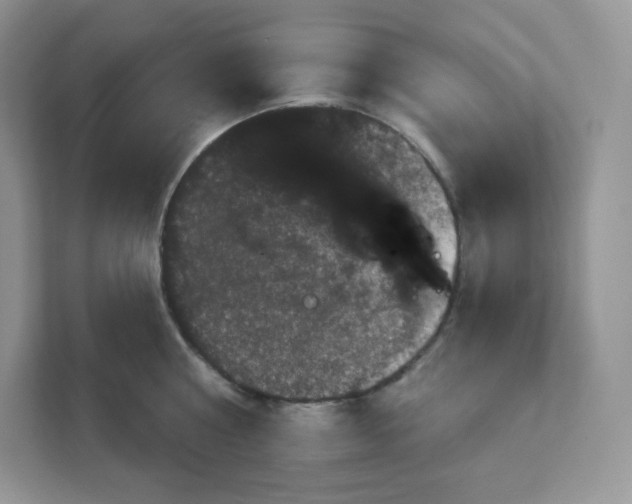 X0000111590810200907301425