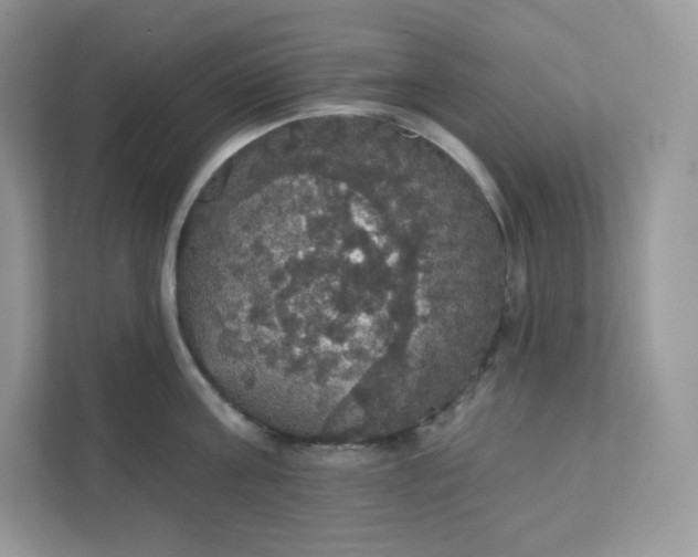 X0000111590811200907301425