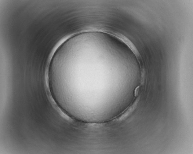 X0000111590812200907301425