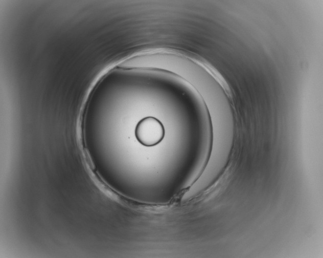 X0000111590813200907301425