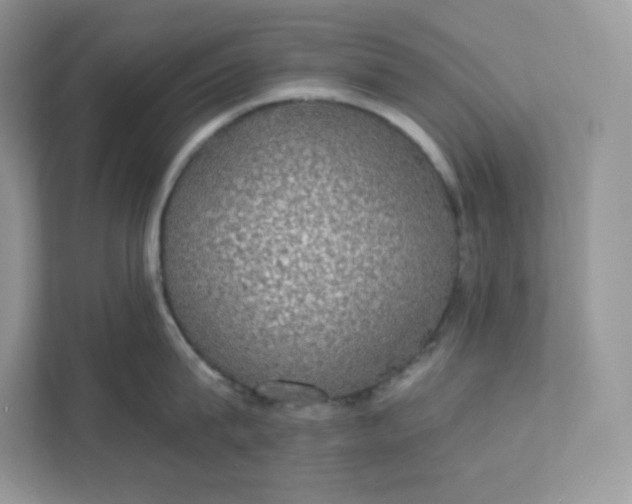 X0000111590815200907301425