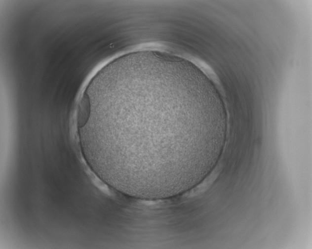 X0000111590816200907301425