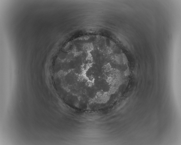 X0000111590817200907301424