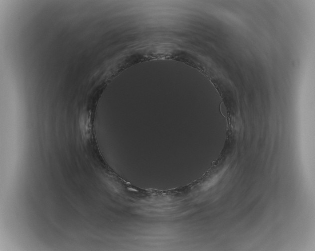 X0000111590818200907301424