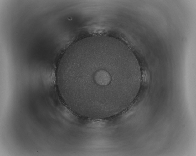 X0000111590820200907301424