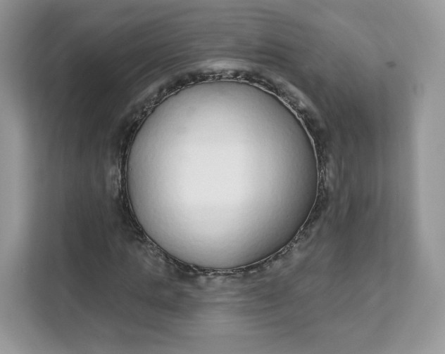 X0000111590821200907301424