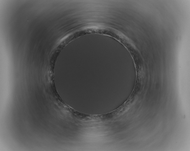 X0000111590822200907301424