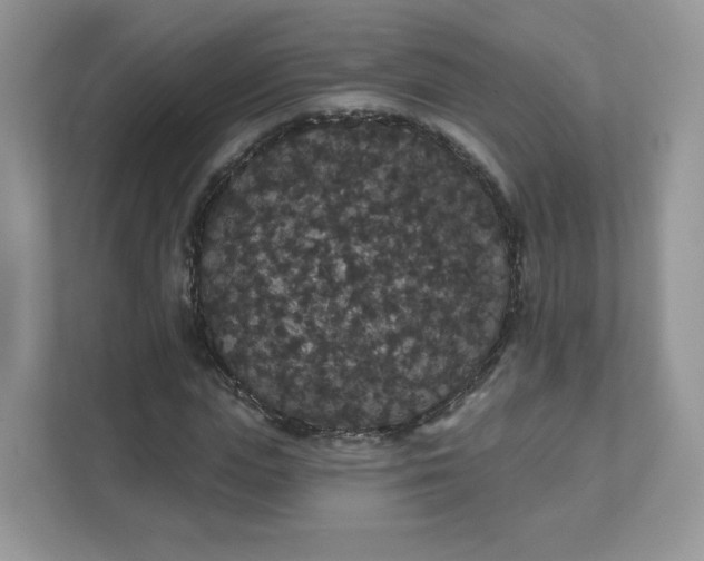 X0000111590823200907301424