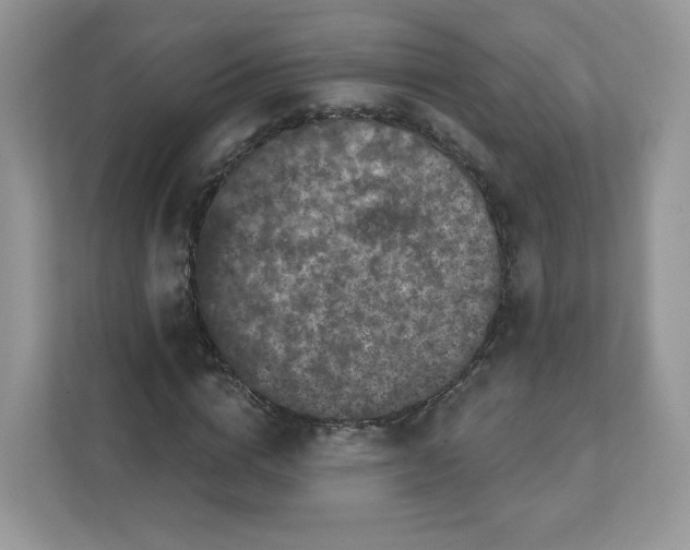 X0000111590824200907301424