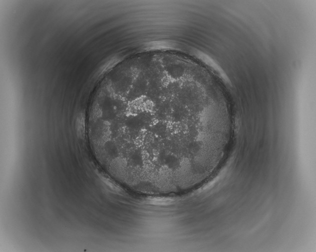 X0000111590825200907301424