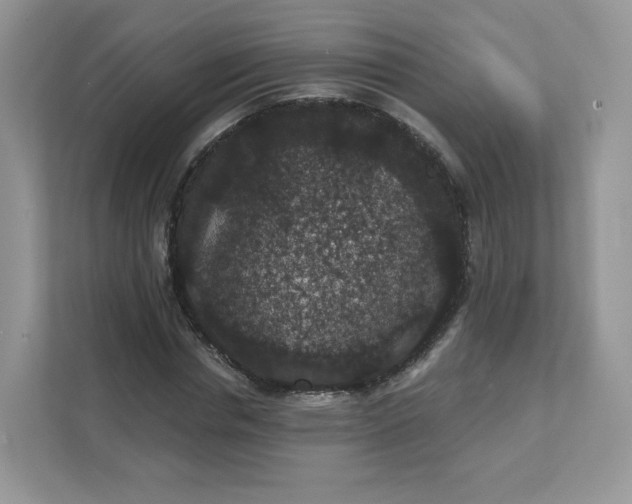 X0000111590826200907301424