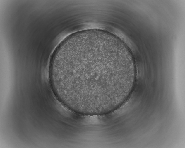 X0000111590828200907301424