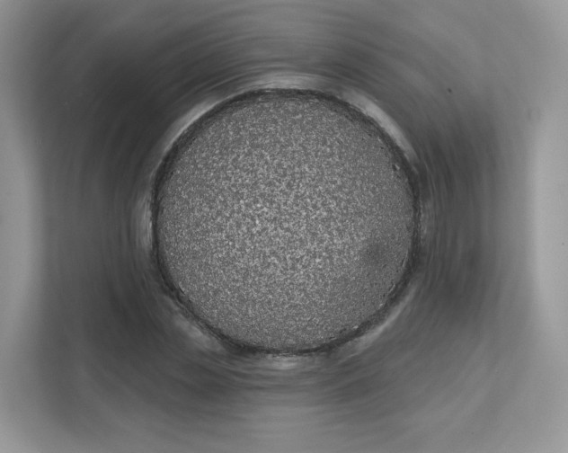 X0000111590829200907301424