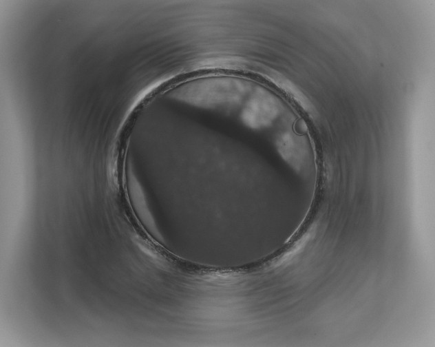 X0000111590830200907301424