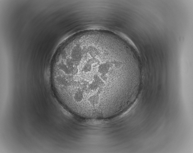 X0000111590831200907301424