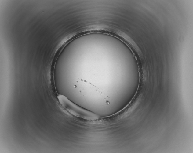 X0000111590834200907301424