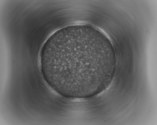 X0000111590835200907301424