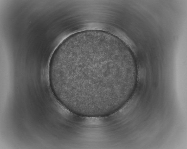 X0000111590836200907301424