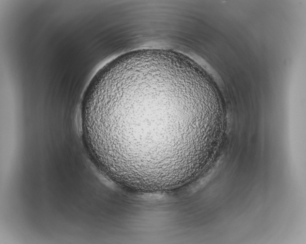 X0000111590838200907301424