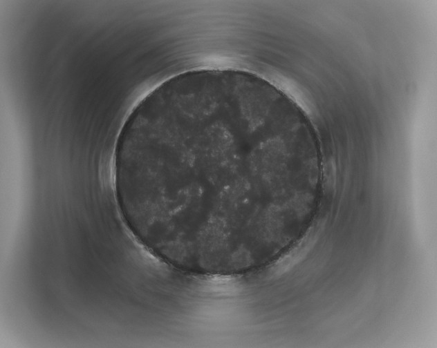 X0000111590839200907301424