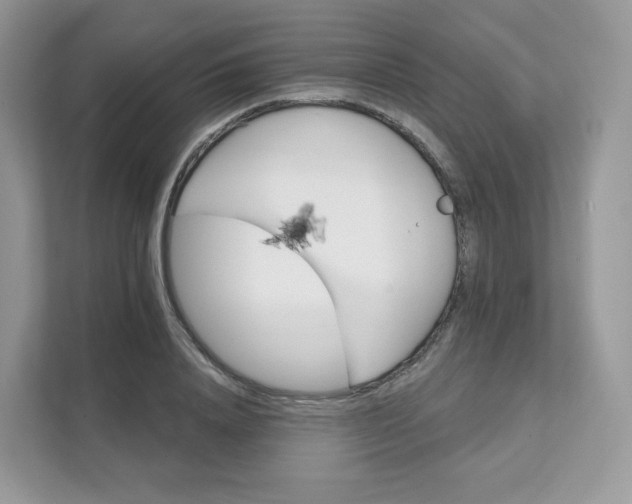 X0000111590840200907301424