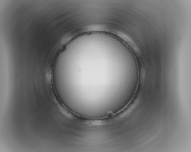 X0000111590841200907301425