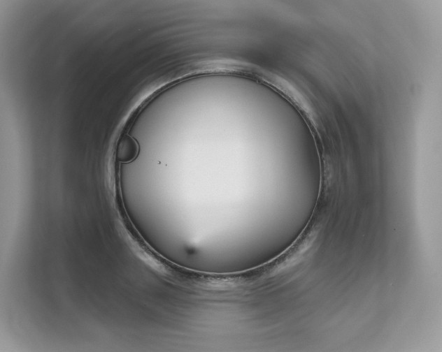 X0000111590843200907301425