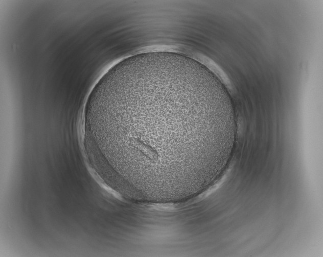 X0000111590844200907301425