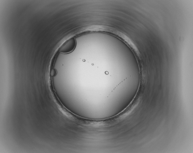 X0000111590845200907301425