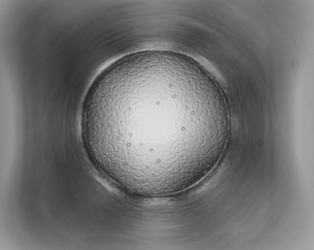 X0000111590846200907301425