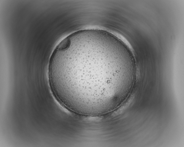 X0000111590847200907301425