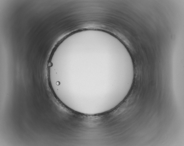 X0000111590848200907301425