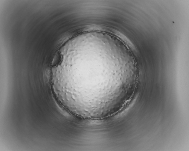 X0000111590849200907301425