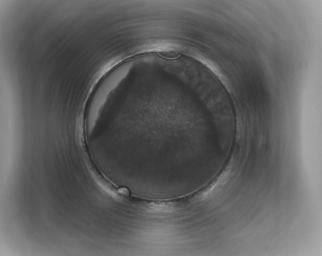 X0000111590850200907301425