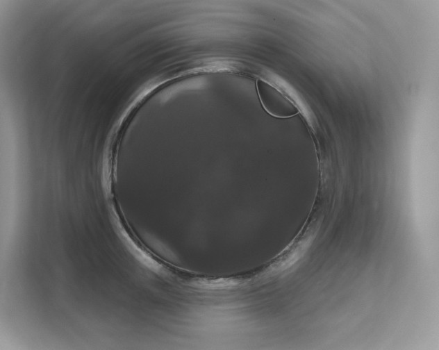 X0000111590851200907301425