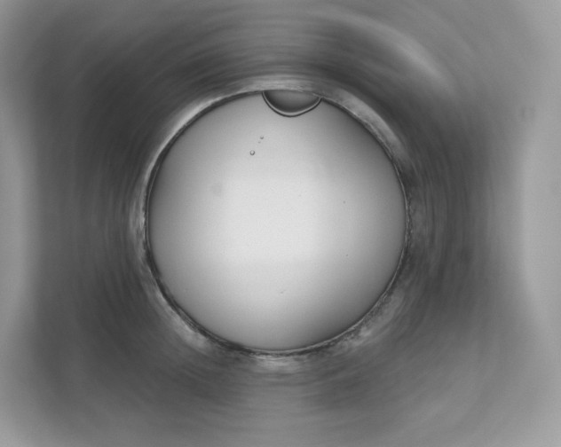 X0000111590852200907301425